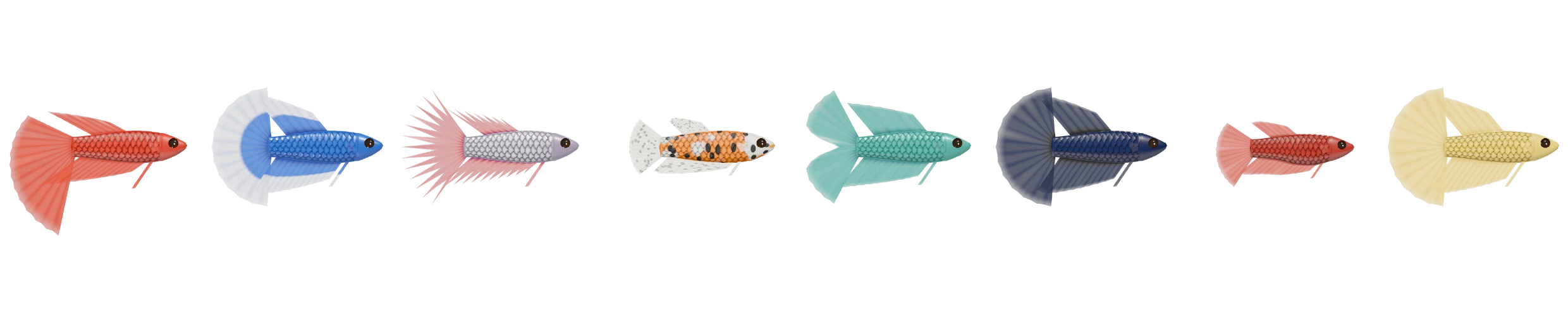 A row of bettas, each with different fins and colours